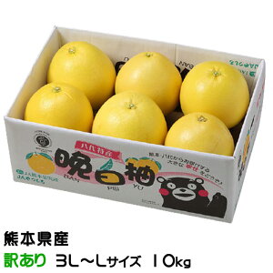 Ε ݂ ӔM ΂؂ 󂠂 3L`LTCY 10kg F{Y JA ~J  Mtg 