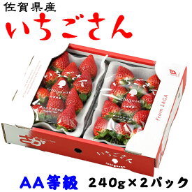 いちごさん AA等級 4～11粒 240g×2パック 佐賀県産 JA佐賀 白石地区 苺 イチゴ ギフト お取り寄せ