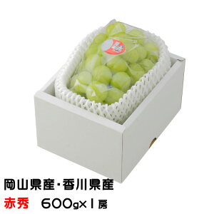 Ԃǂ YԂǂ ԏG 600g×1[ RY 쌧Y  uhE