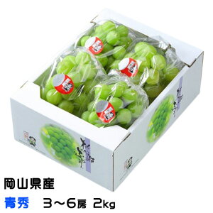 Ԃǂ YԂǂ G 3`6[ 2kg RY 쌧Y  uhE