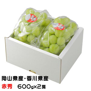 Ԃǂ YԂǂ ԏG 600g×2[ RY 쌧Y  uhE