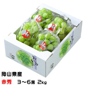 Ԃǂ YԂǂ ԏG 3`6[ 2kg RY 쌧Y  uhE
