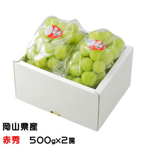 Ԃǂ YԂǂ ԏG 500g×2[ RY 쌧Y  uhE