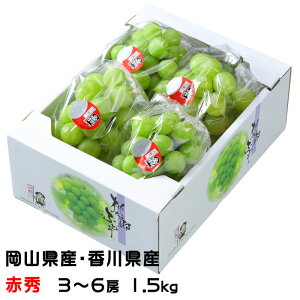 Ԃǂ YԂǂ ԏG 3`6[ 1.5kg RY 쌧Y  uhE