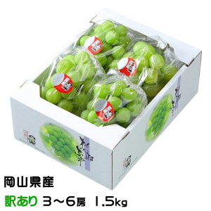 Ԃǂ YԂǂ ̂ Ɩ󂠂 3`6[ 1.5kg RY 쌧Y  uhE