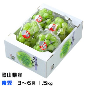 Ԃǂ YԂǂ G 3`6[ 1.5kg RY 쌧Y  uhE