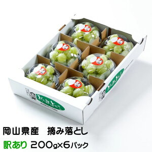Ԃǂ YԂǂ EݗƂ ̂ 󂠂 200g×6pbN RY 쌧Y  uhE Mtg 