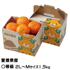 みかん せとか 〇等級 2L〜Mサイズ 1.5kg みきゃん箱入り 愛媛県産 ミカン 蜜柑 贈り物