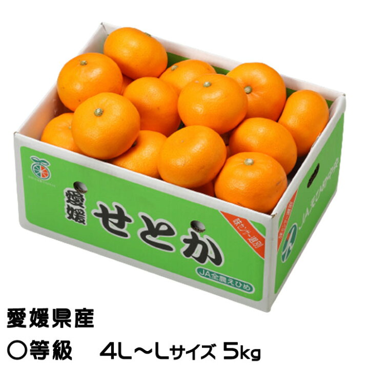 楽天市場】みかん せとか ◯等級 4L〜Lサイズ 5kg 愛媛県産 JAえひめ  
