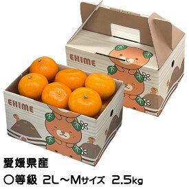 みかん せとか 〇等級 2L～Mサイズ 2.5kg みきゃん箱入り お取り寄せグルメ 愛媛県産 ミカン 蜜柑 贈り物