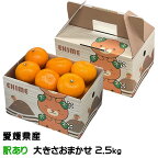 みかん せとか みきゃん箱入り 風のいたずら 訳あり 大きさおまかせ 2.5kg 愛媛県産 ミカン 蜜柑 贈り物