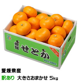 みかん せとか 風のいたずら 訳あり 大きさおまかせ 5kg 愛媛県 中島産 ミカン 蜜柑 ギフト 贈り物