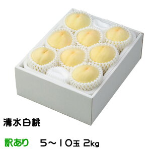 ������ �� �������� ������Ɩ󂠂� 5�`10�� 2.0kg ���R���Y �ăM�t�g ���� ���� �͂��Ƃ� ����
