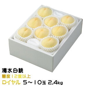 ������ �� �������� ���C���� 5�`10�� 2.4kg ���R���Y �M�t�g ���� ���� �͂��Ƃ� ����