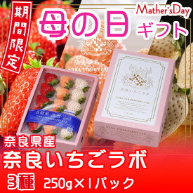 母の日 2024 いちご 白いちご 3種 詰め合わせ（古都華・淡雪・パールホワイト）250g 奈良県産 苺 イチゴ ギフト プレゼント