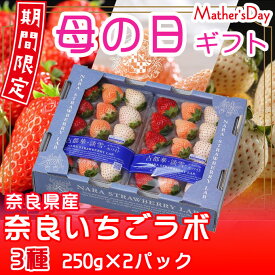 母の日 2024 いちご 白いちご 3種 詰め合わせ（古都華・淡雪・パールホワイト）250g×2パック 奈良県産 苺 イチゴ ギフト プレゼント