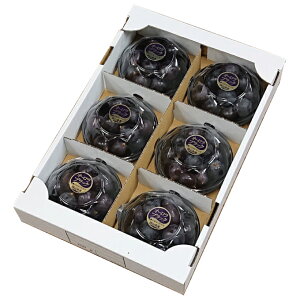 Ε Ԃǂ I[ubN EݗƂ ԏG 200g x 6pbN RY JA  uhE