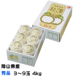 Ε   Gi 3`9 4kg RY JA  iV Ȃ Mtg