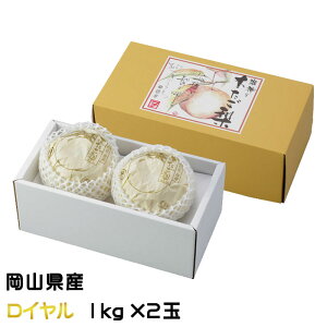 Ε   C 2 2kg x12xȏ RY JA  iV Ȃ Mtg