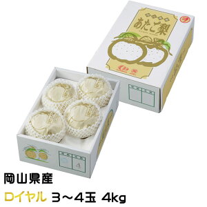 Ε   C  3`4 4kg x12xȏ RY JA  iV Ȃ Mtg