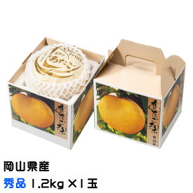 梨 あたご梨 秀品 大玉 1玉 1.2kg 岡山県産 JAおかやま 愛宕梨 ナシ なし ギフト