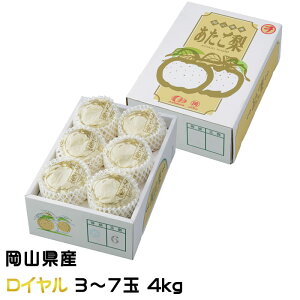 Ε   C 3`7 4kg x12xȏ RY JA  iV Ȃ Mtg