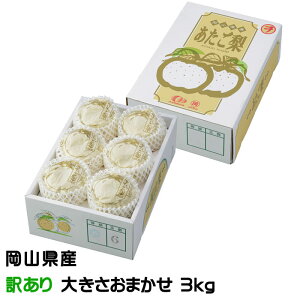   ̂ 󂠂 傫܂ 3kg RY JA  iV Ȃ Mtg