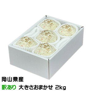 Ε   ̂ 󂠂 傫܂ 2kg RY JA  iV Ȃ Mtg