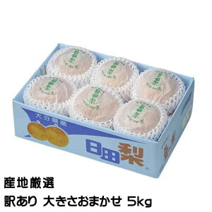 Ε   YnI ̂ 󂠂 傫܂ 5kg  iV Ȃ Mtg