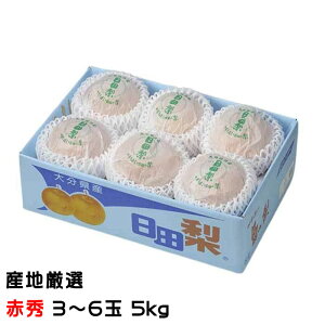 Ε   YnI ԏG 3`6 5kg  iV Ȃ Mtg