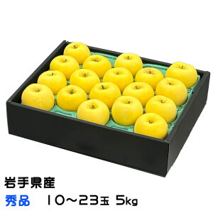  ͂邩 茧Y Gi 10`23 5kg ь烊S Mtg