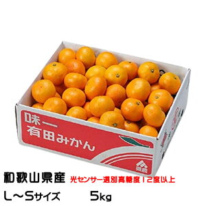 みかん プレミアム有田みかん 味一 L〜Sサイズ 5kg 糖度12度以上 和歌山県産 JAありだ ミカン 蜜柑 ギフト