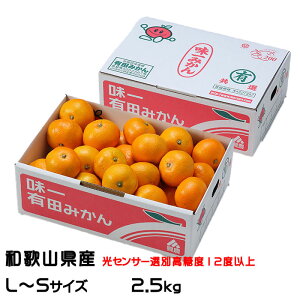 ݂ v~ALc݂  L`STCY 2.5kg x12xȏ a̎RY JA肾 ~J  Mtg