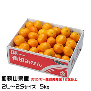 ݂ v~ALc݂  2L`2STCY 5kg x12xȏ a̎RY JA肾 ~J  Mtg
