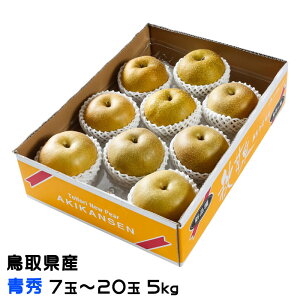  HÐ 񂹂 G 7ʁ`20 5kg 挧Y iV Ȃ VÐ oi