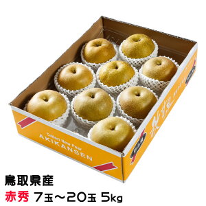  HÐ 񂹂 ԏG 7ʁ`20 5kg 挧Y iV Ȃ VÐ oi