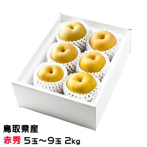  HÐ 񂹂 ԏG 5ʁ`9 2kg 挧Y iV Ȃ VÐ oi