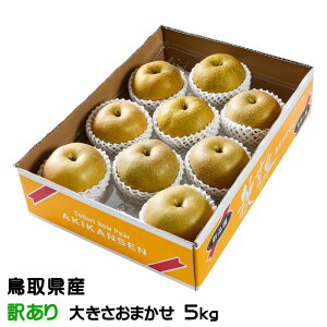  HÐ 񂹂 Ɩ󂠂 傫܂ 5kg 挧Y iV Ȃ VÐ oi