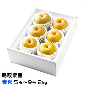  HÐ 񂹂 G 5ʁ`9 2kg 挧Y iV Ȃ VÐ oi