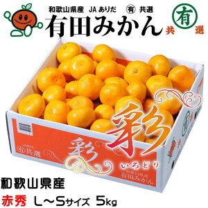 ݂ Lc݂ ʂǂ ԏG L`S 5kg  xIi a̎RY JA肾 }LI ~J  Mtg