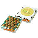 お歳暮 キウイフルーツ 甘うぃ 4L〜3Lサイズ 20〜24玉 3.6kg 福岡県産 JAふくおか八女 ギフト 贈り物 ギフト お取り寄せ