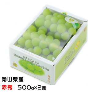 Ԃǂ }XJbg Iu ALThA ԏG 500g×2[ RY JA  uhE