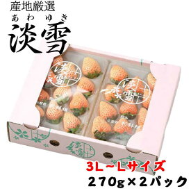 いちご 白いちご 淡雪 あわゆき 秀品　大粒 3L～Lサイズ 270g×2パック 産地厳選 苺 イチゴ ギフト お取り寄せ 母の日