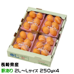 �т� ����т� ���̂������� ������Ɩ󂠂� 2L�`M�T�C�Y 1�p�b�N5�`8�� 250g×4 ���茧�Y �����񂹃O���� �M�t�g ������