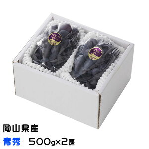 Ԃǂ ubNr[g G 500g×2[ RY JA Mtg  uhE