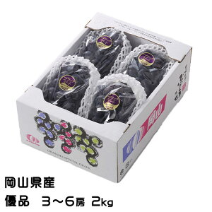 ������ �Ԃǂ� �u���b�N�r�[�g �D�i 3�`6�[ 2kg ���R���Y JA������� �M�t�g ���� �u�h�E