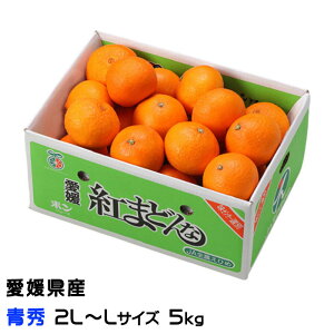 Ε ݂ g܂ǂ G 2L`LTCY 5kg QY JAЂߒ Iʏ ~J  Mtg 