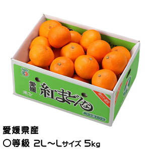 Ε ݂ g܂ǂ Z 2L`LTCY 5kg QY JAЂߒ Iʏ ~J  Mtg 