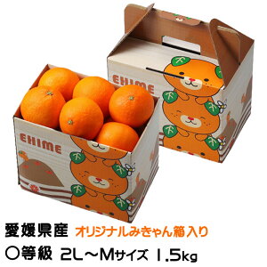 Ε ݂ g܂ǂ Z 2L`MTCY 1.5kg 6ʁ`10 ݂񔠓 QY JAЂߒ Iʏ ~J  Mtg 