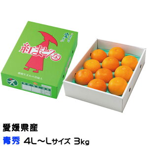 Ε ݂ g܂ǂ G 4L`LTCY 3kg 8ʁ`15 QY JAЂߒ Iʏ ~J  Mtg 